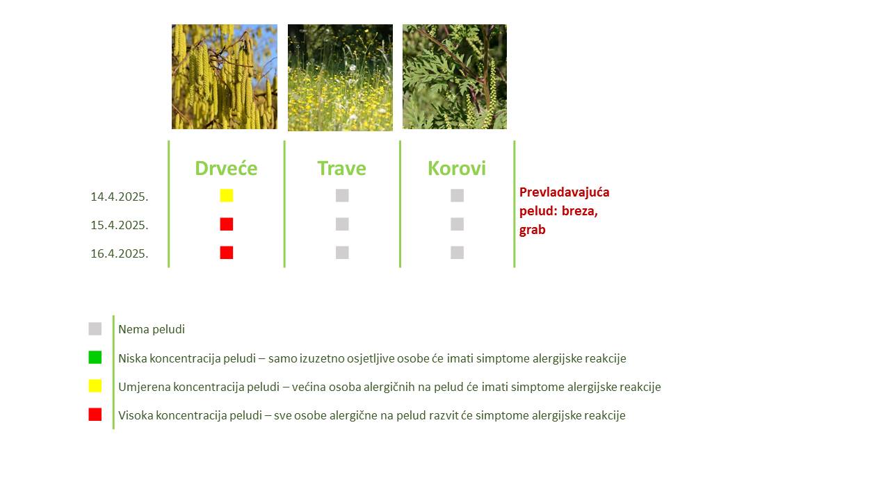 Peludna prognoza početak 2025